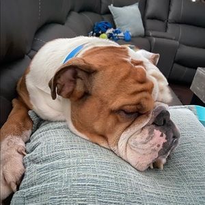 Meet your Posher, Doug